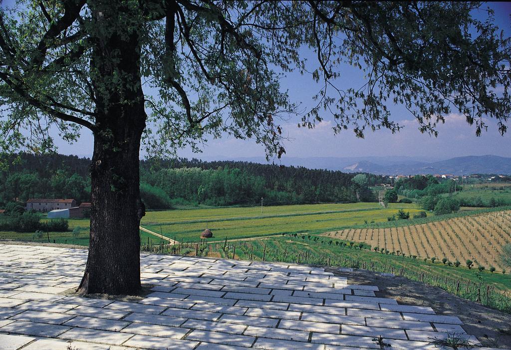 Agriturismo Le Due Querce Lazzeretto Exterior foto
